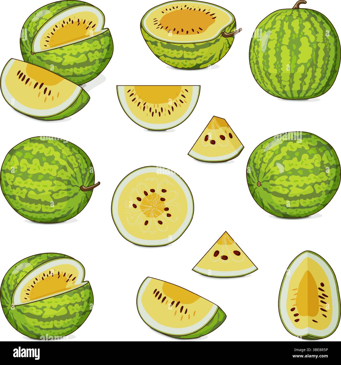 Set di anguria Yellow Doll. Citrullus lanatus. Frutta e verdura. Clipart. Illustrazione vettoriale isolata. Illustrazione Vettoriale