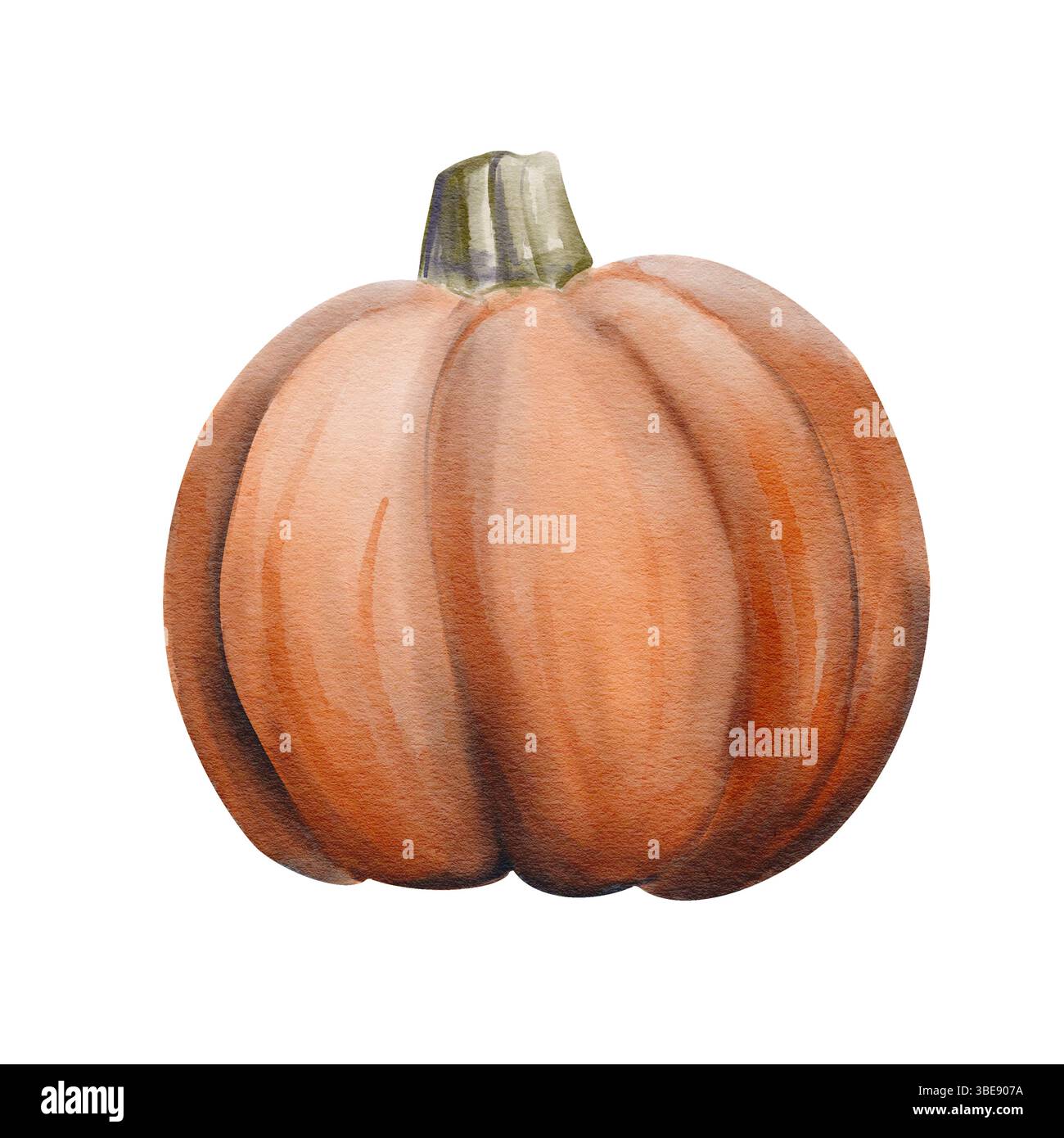 Zucca matura arancione. Di medie dimensioni. Arredamento di Halloween. Raccolto autunnale. Orribili e cupe verdure per intagliare il viso. Illustrazione acquerello isolata da Foto Stock