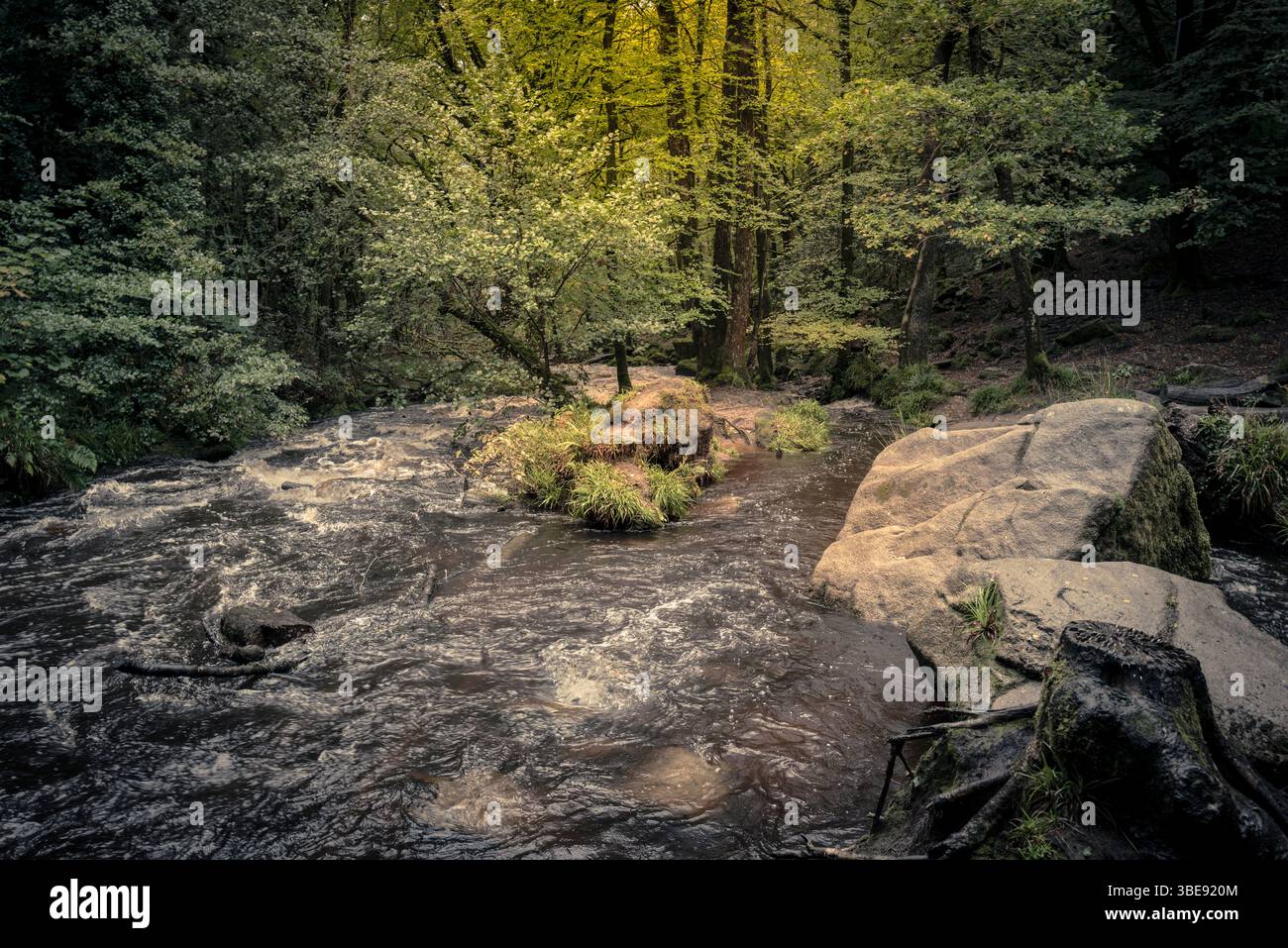Cascate di Golitha. Il fiume Fowey scorre attraverso l'antico bosco di Draynes Wood sulla Bodmin Moor in Cornovaglia nel Regno Unito. Foto Stock