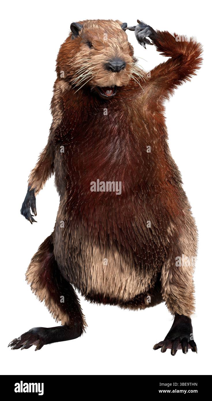 Rendering 3D di un castoro di cartoni animati isolato su sfondo bianco Foto Stock
