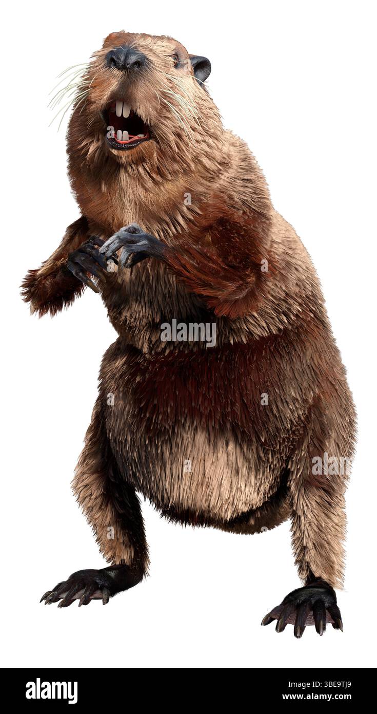 Rendering 3D di un castoro di cartoni animati isolato su sfondo bianco Foto Stock