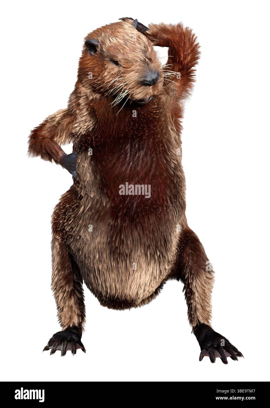 Rendering 3D di un castoro di cartoni animati isolato su sfondo bianco Foto Stock