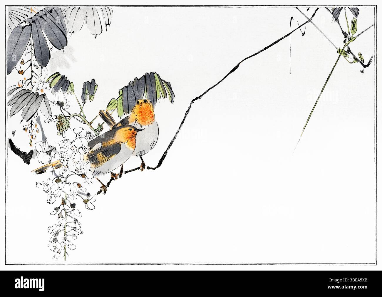 Restaurata antica illustrazione di due passeri appollaiati su un ramo da Watanabe Seitei, 1890, da Seitei Kacho Gafu - serena arte degli uccelli Meiji in traditio Foto Stock Restaurata antica illustrazione di due passeri appollaiati su un ramo da Watanabe Seitei, 1890, da Seitei Kacho Gafu - serena arte degli uccelli Meiji in traditio Foto Stock