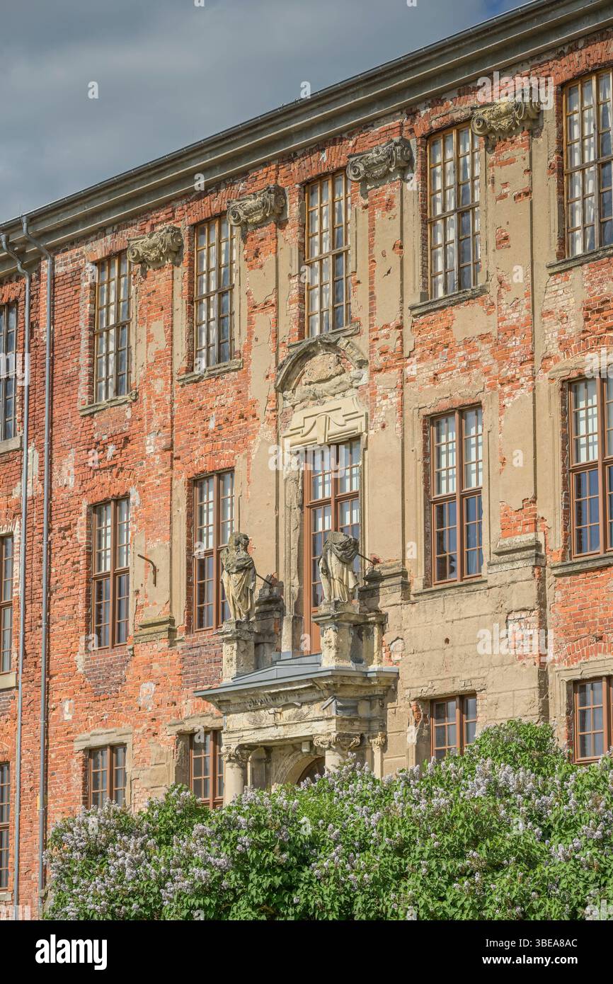 Schloß, Zerbst, Landkreis Anhalt-Bitterfeld, Sachsen-Anhalt, Deutschland *** Castello, Zerbst, distretto di Anhalt Bitterfeld, Sassonia-Anhalt, Germania Foto Stock