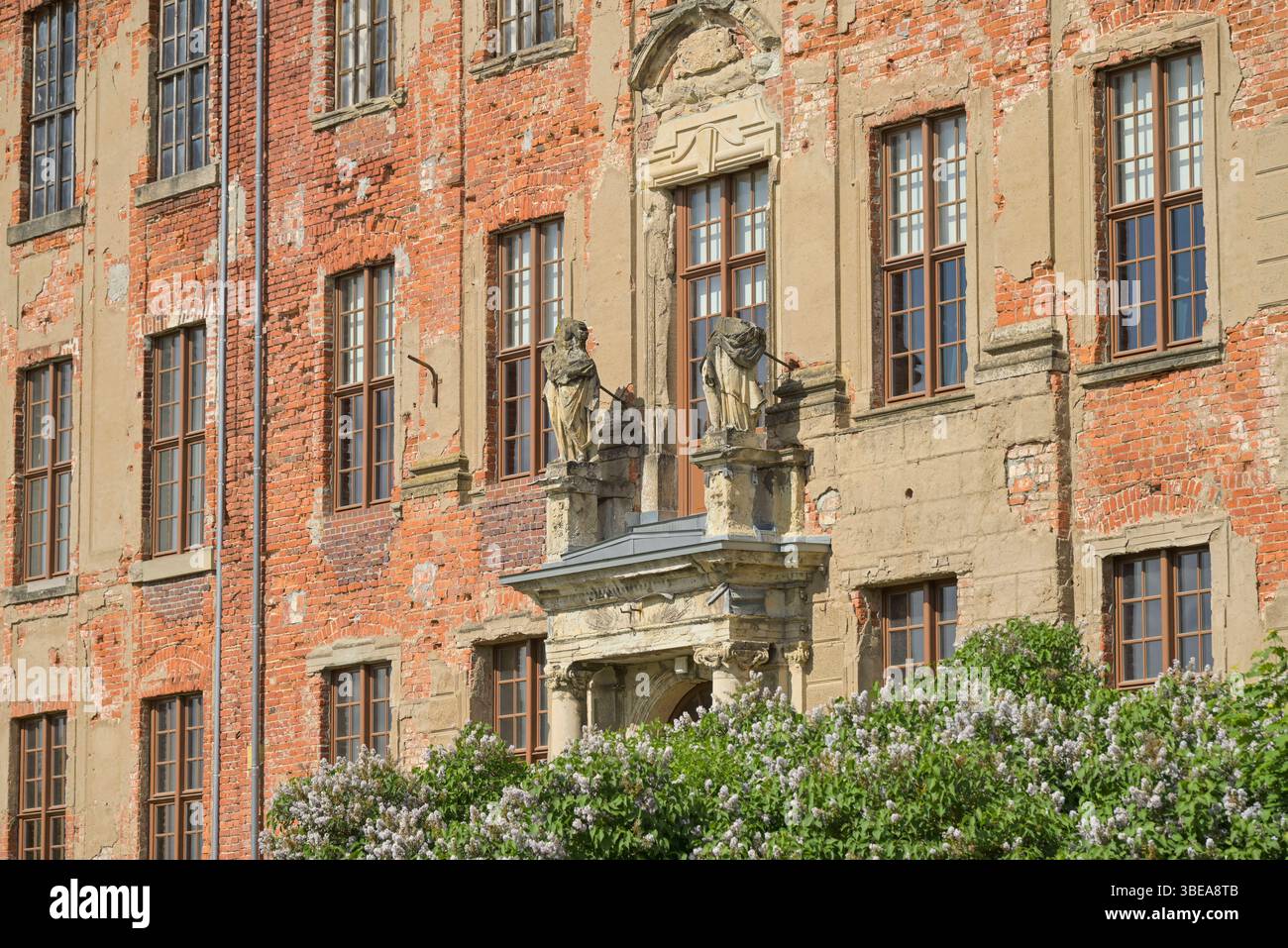 Schloß, Zerbst, Landkreis Anhalt-Bitterfeld, Sachsen-Anhalt, Deutschland *** Castello, Zerbst, distretto di Anhalt Bitterfeld, Sassonia-Anhalt, Germania Foto Stock
