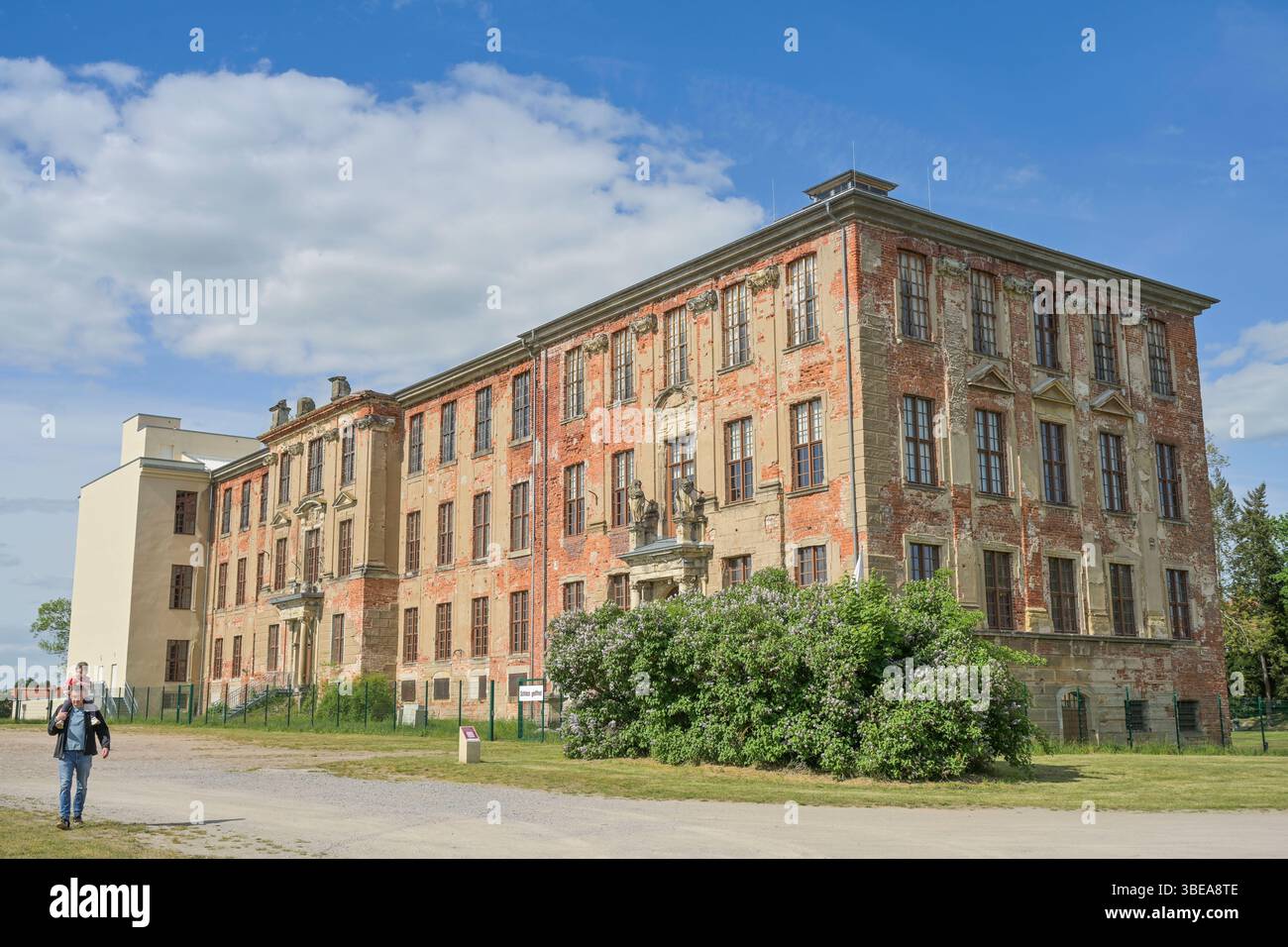 Schloß, Zerbst, Landkreis Anhalt-Bitterfeld, Sachsen-Anhalt, Deutschland *** Castello, Zerbst, distretto di Anhalt Bitterfeld, Sassonia-Anhalt, Germania Foto Stock