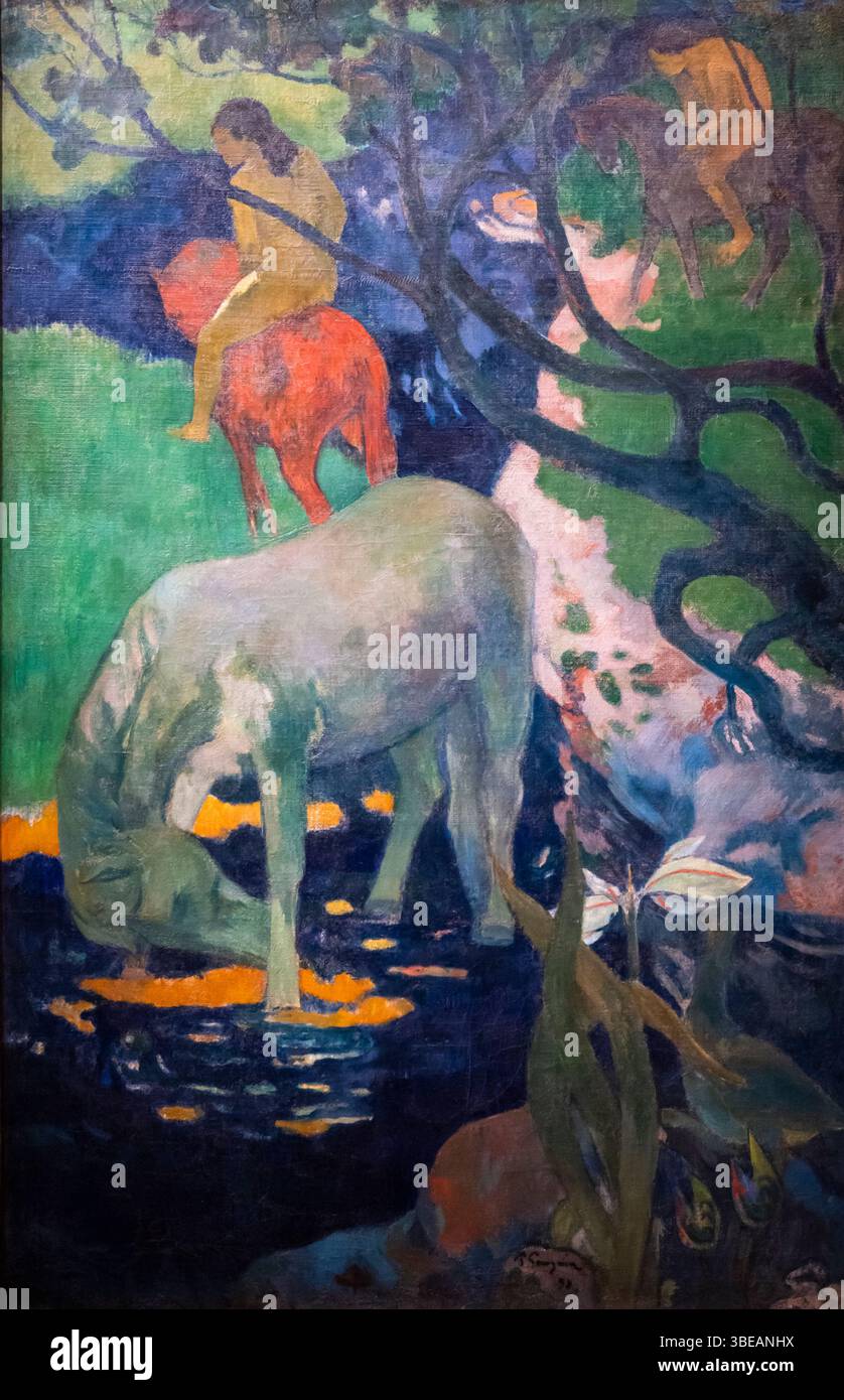 Paul Gaugin dipinge il Cavallo bianco, Musée d'Orsay, Parigi, Francia Foto Stock