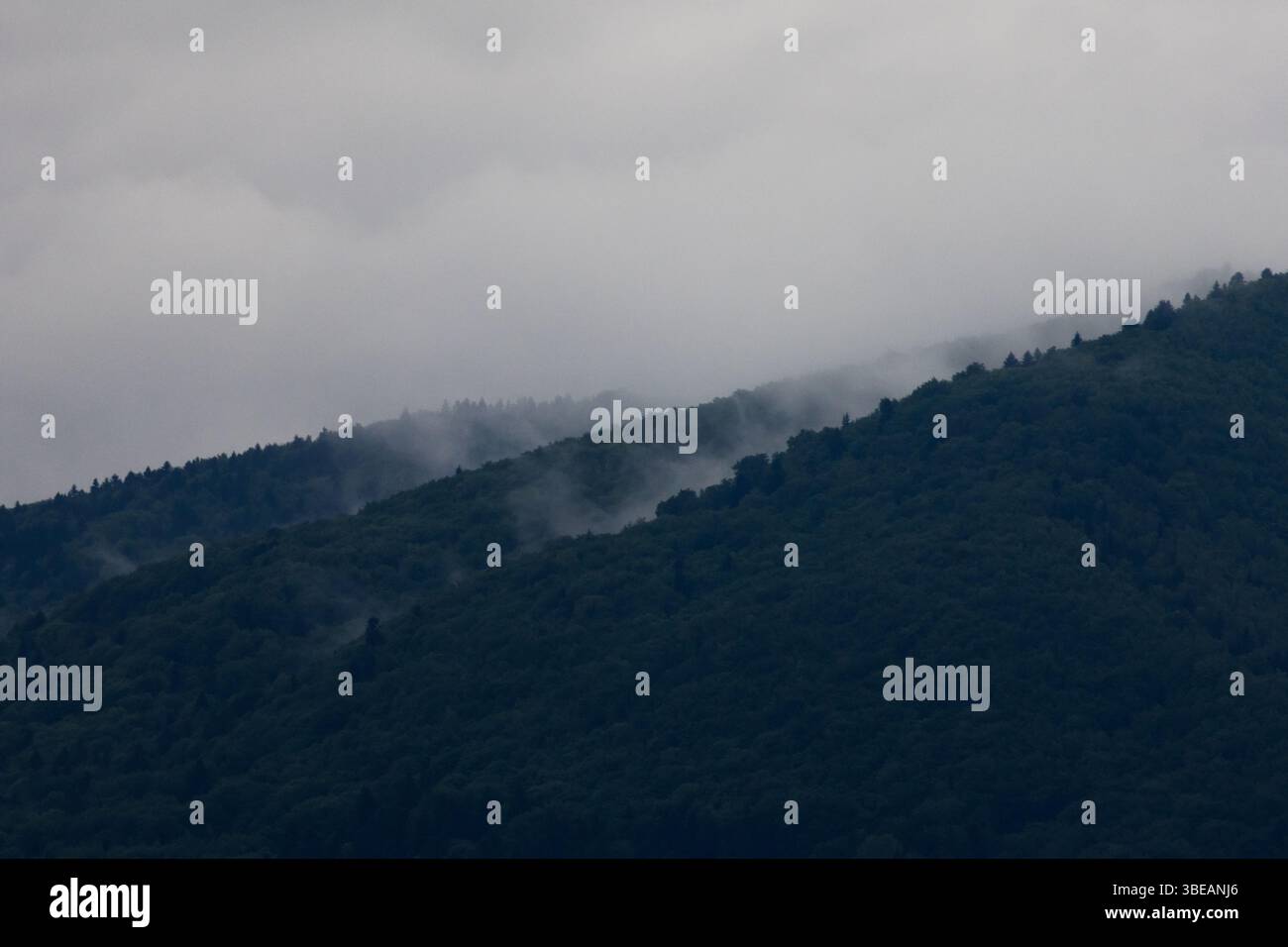 Vista spettacolare di una cresta di montagna nebbiosa sotto pesanti nuvole di tempesta. Paesaggio suggestivo che evoca mistero e solitudine, perfetto per temi ambientali Foto Stock