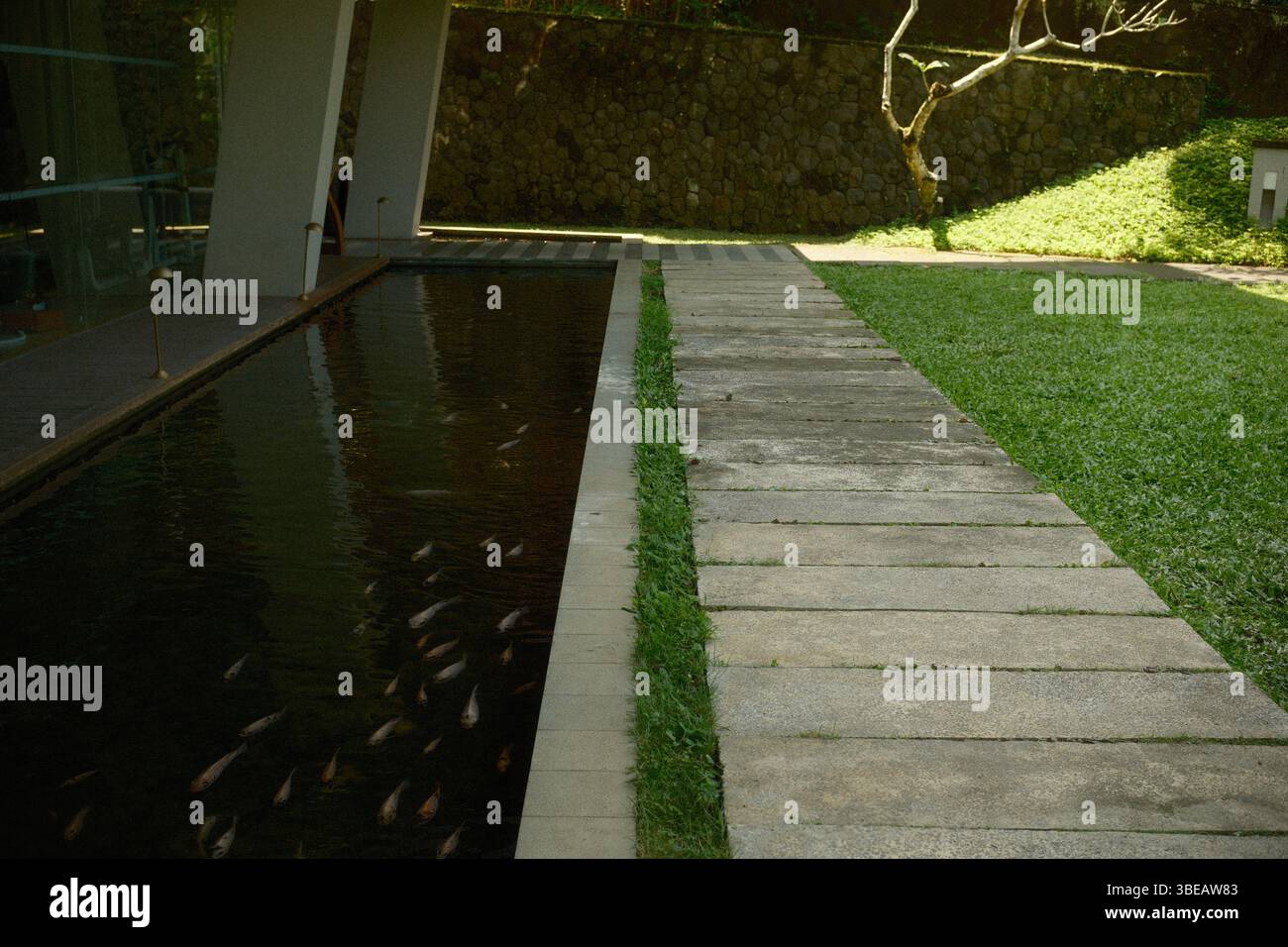 Un'armonia tra architettura moderna e natura si riflette in uno stagno di koi, un sentiero in pietra e un prato verde Foto Stock