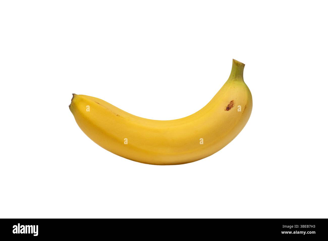 Vista laterale banana su una banana con fondo bianco Vista laterale senza sfondo Foto Stock