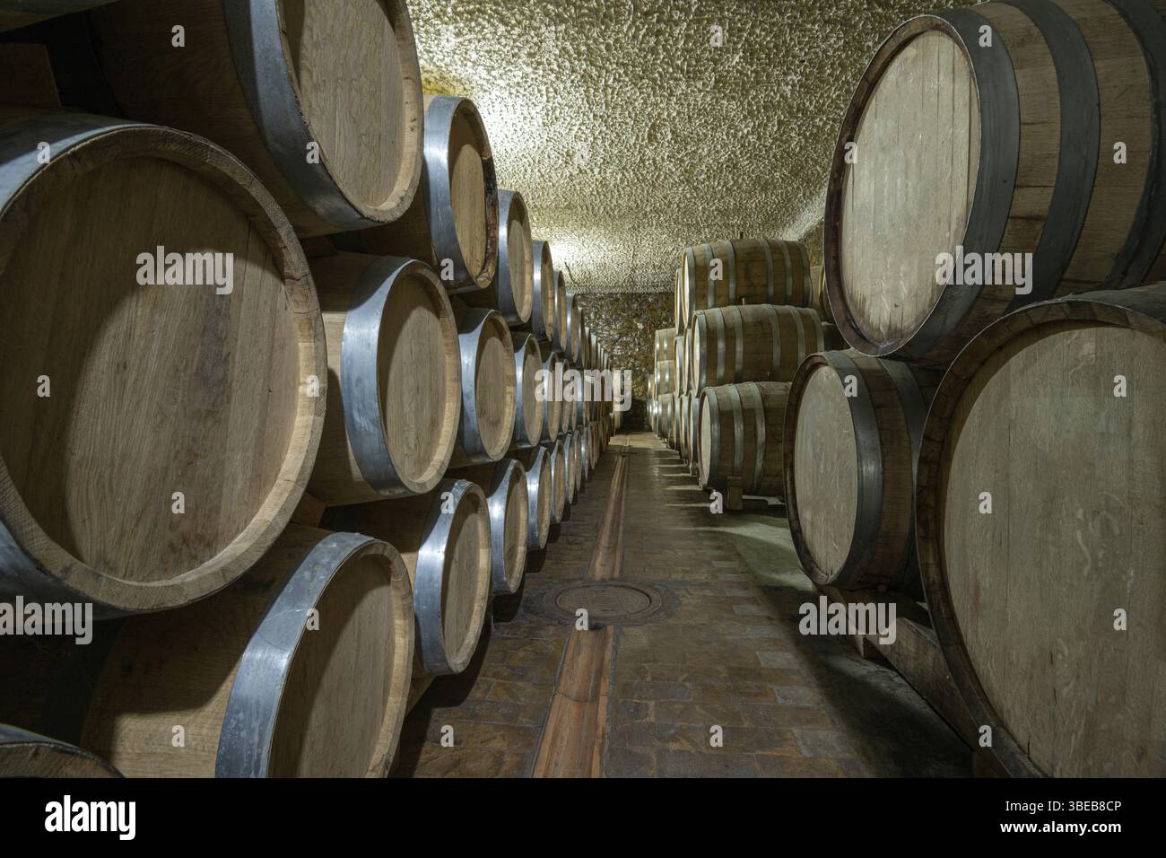 Le botti di legno di vino in una fabbrica di vino Foto Stock