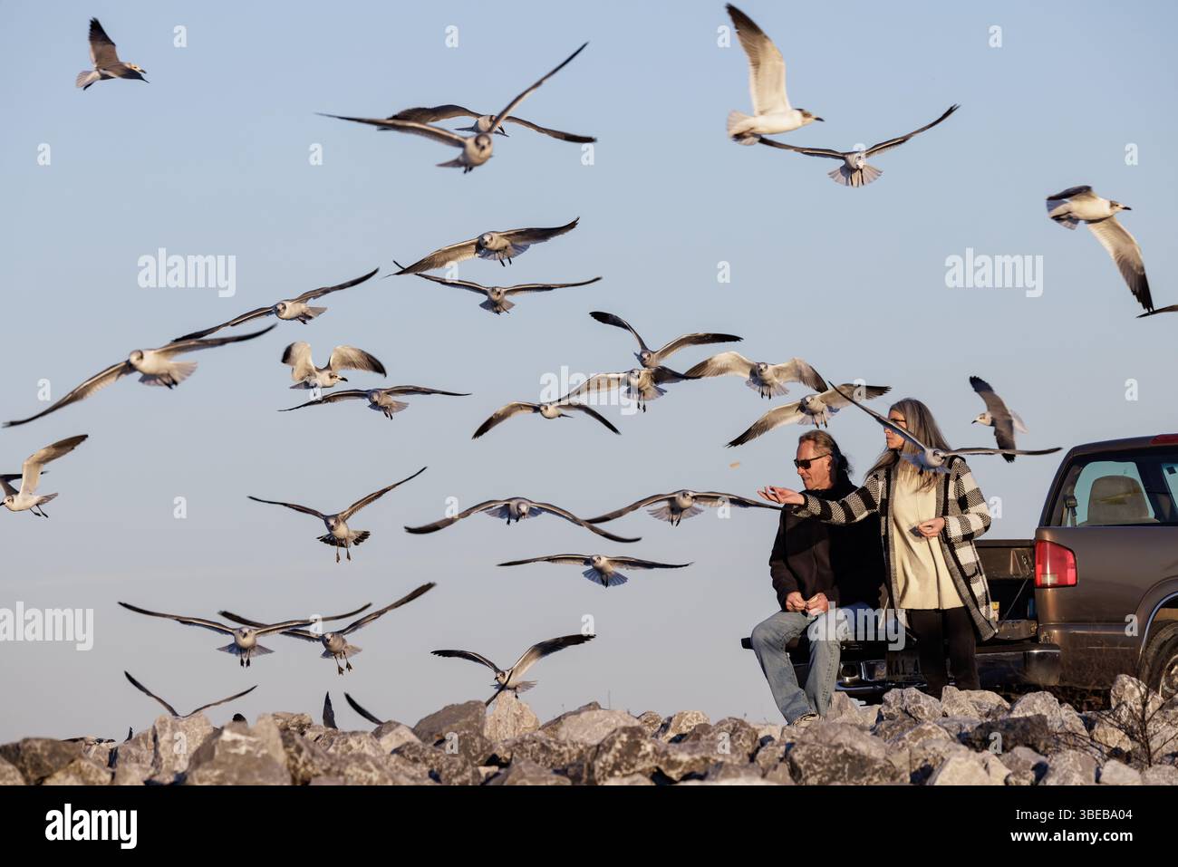 Uomo e donna che lanciano briciole di pane ai gabbiani lungo la costa del Golfo del Mississippi Foto Stock