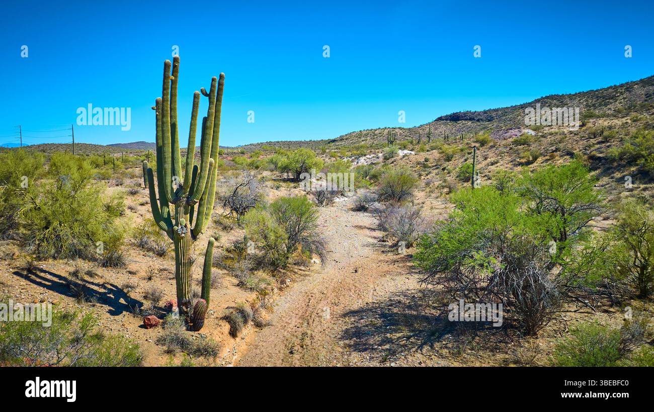 Volo aereo sopra Saguaro Cactus Sonoran Desert Arroyo and Hills Foto Stock