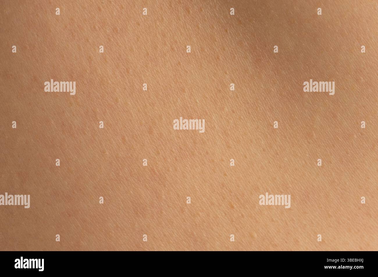 Texture della pelle evidenziata da un'illuminazione soffusa, che rivela dettagli raffinati e un aspetto sano in tutta l'area. Foto Stock