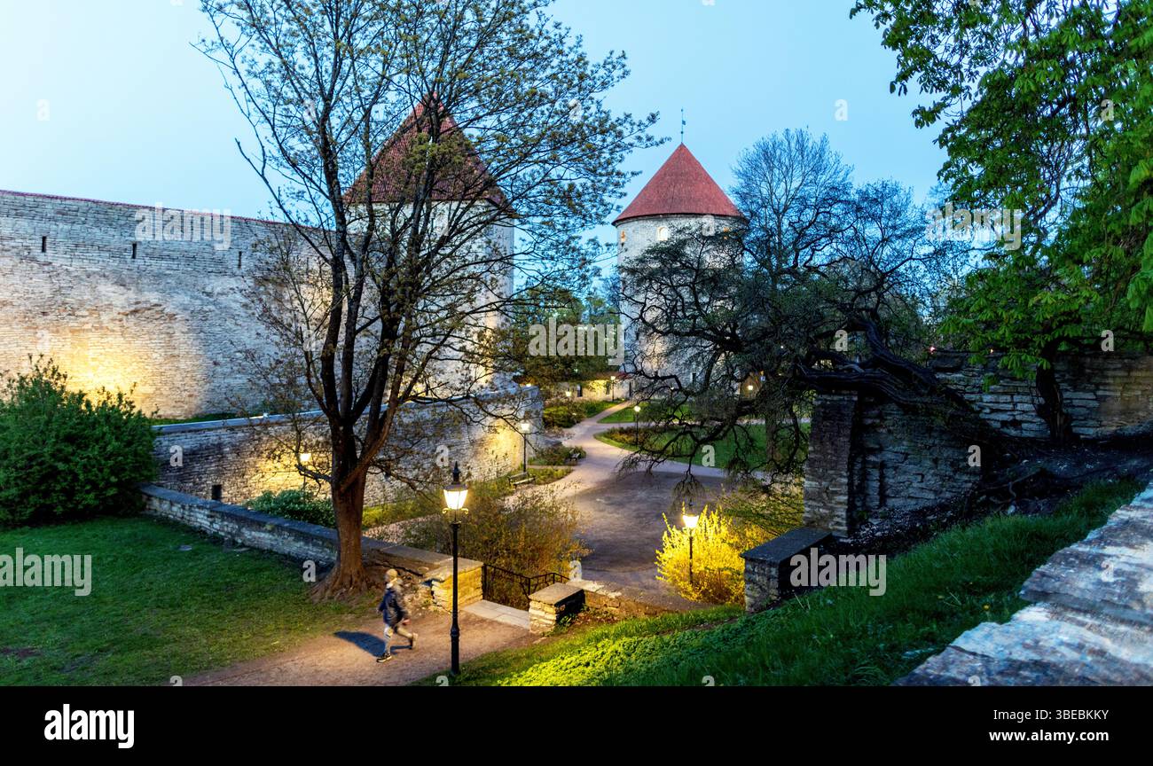 Kiek nelle torri De Kok di notte Tallinn Estonia Foto Stock