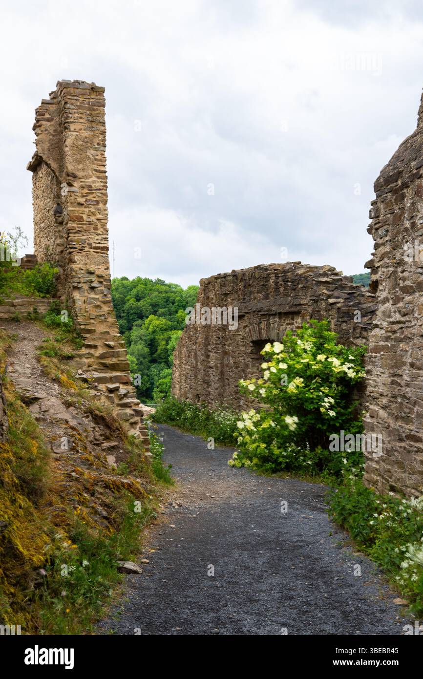 Paesaggio intorno al castello di Löwenburg. Splendide rovine storiche del castello sul torrente Elzbach nel mezzo della foresta. Foto di paesaggi vicino a Monreal Foto Stock