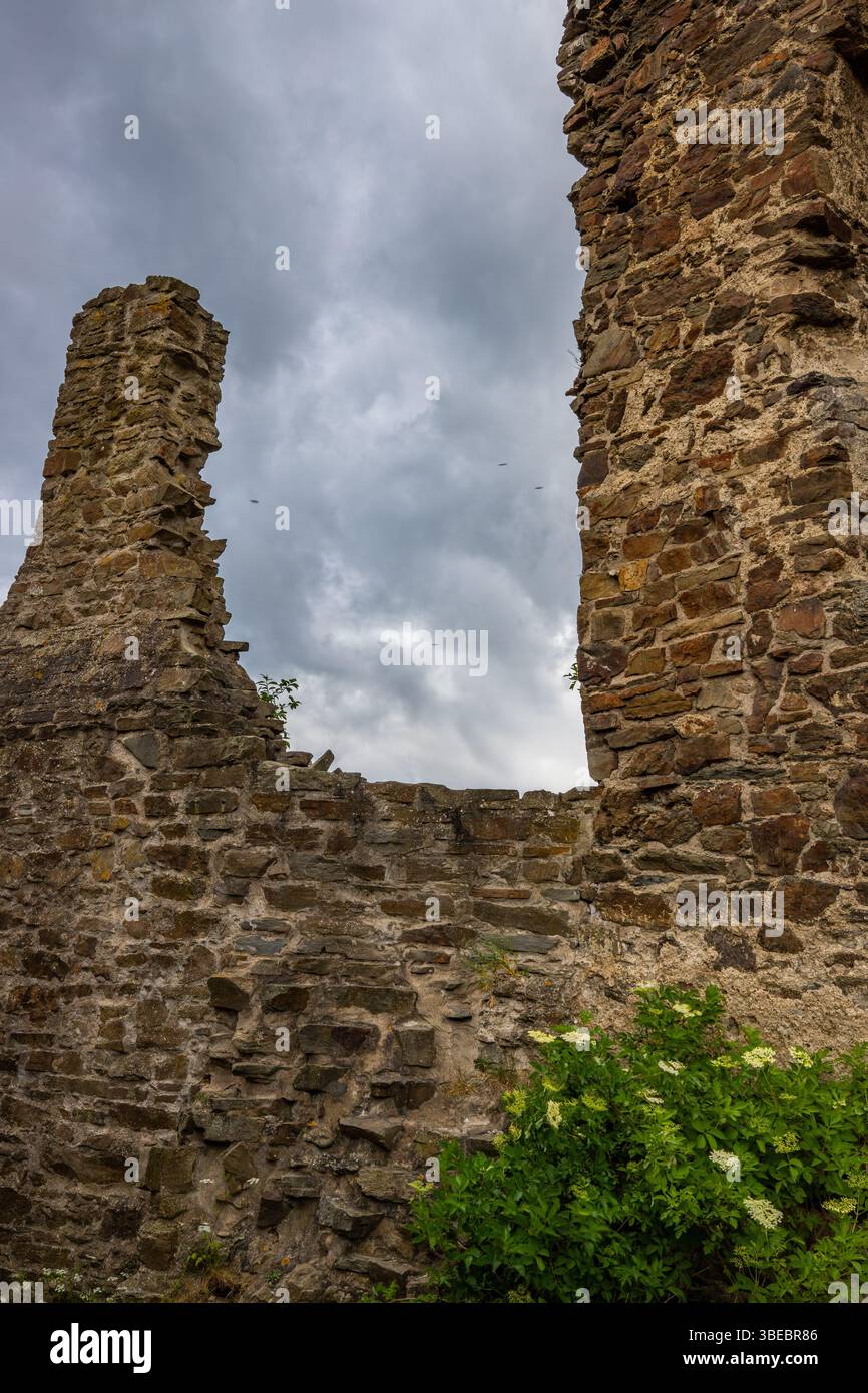 Paesaggio intorno al castello di Löwenburg. Splendide rovine storiche del castello sul torrente Elzbach nel mezzo della foresta. Foto di paesaggi vicino a Monreal Foto Stock