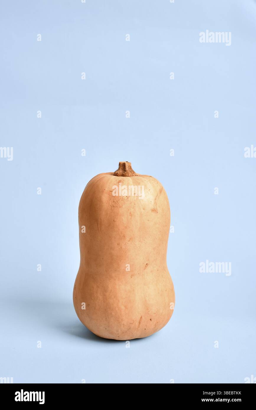 Tema di Halloween con una zucca gialla su sfondo blu. Raccolto autunnale Foto Stock