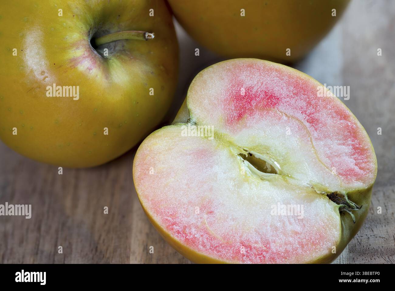 Mele, mala, varietà a carne rossa, malus domestica (Malus domestica, Fructus) Foto Stock