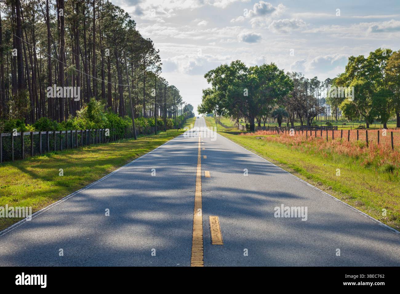 Vista ad angolo basso dell'autostrada asfaltata a due corsie nella Florida centrale rurale in un pomeriggio di sole Foto Stock