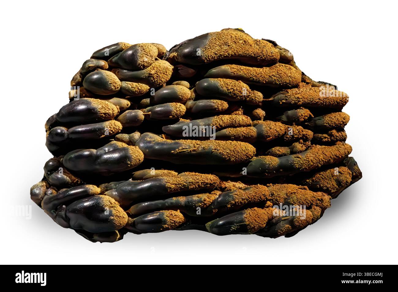 Ossido di manganese, Bisbee, Warren District, Cochise County, Arizona, STATI UNITI Foto Stock