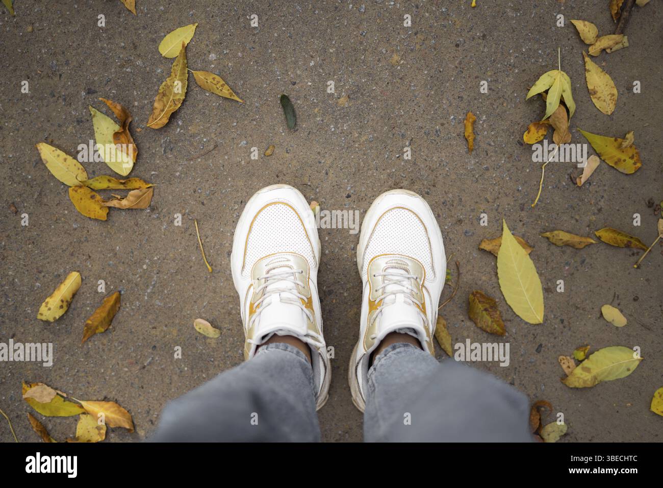 Vista dall'alto delle gambe in sneakers bianche su strada con foglie gialle. Foto Stock