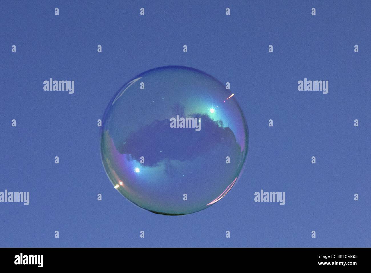 Bolle di sapone Foto Stock