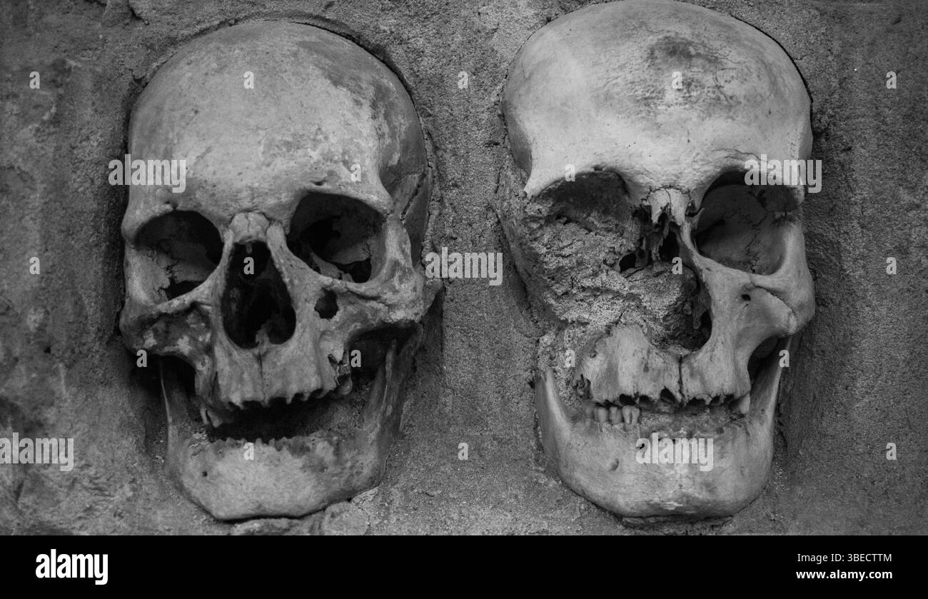 Cranio all'interno della Skull Tower di Nis, Serbia. Cranio umano. Foto Stock