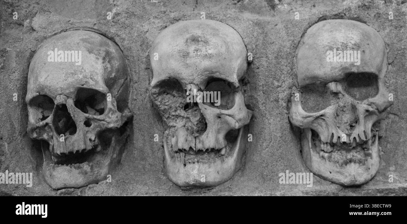 Cranio all'interno della Skull Tower di Nis, Serbia. Cranio umano. Foto Stock