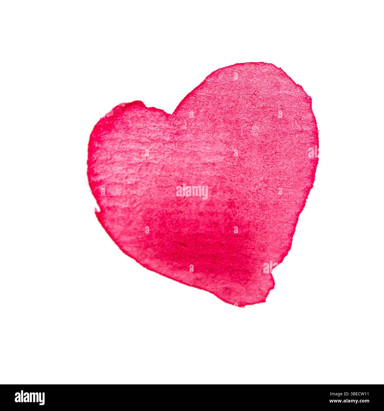 Cuore di acquerello rosso su sfondo bianco che simboleggia l'amore e la passione Foto Stock