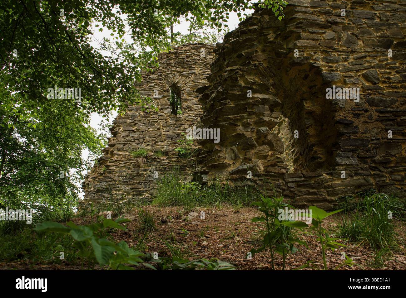 Vista delle rovine del castello in rovina incorniciate dal verde della foresta. Foto Stock