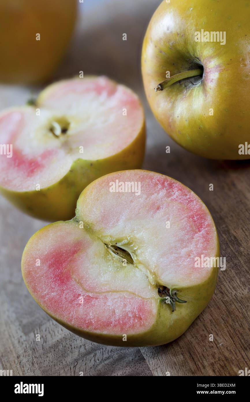 Mele, mala, varietà a carne rossa, malus domestica (Malus domestica, Fructus) Foto Stock