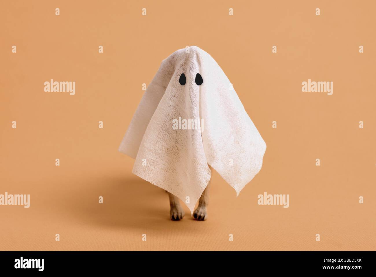 Foglio bianco fantasma con zampe di animali su sfondo arancione. Divertente arte di halloween. Copia spazio Foto Stock