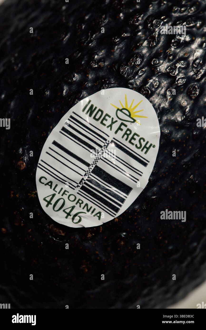 Indicizza etichetta fresca, codice a barre, UPC su California avocado Foto Stock