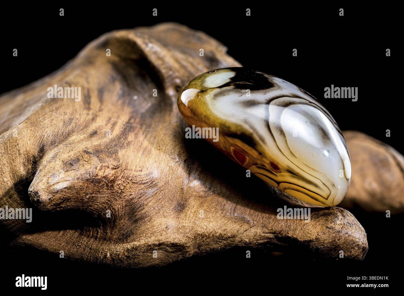Una fotografia ravvicinata di una pietra di agata lucida con vivaci fasce di colore, appoggiata su una superficie ruvida in legno, Ucraina, Europa Foto Stock