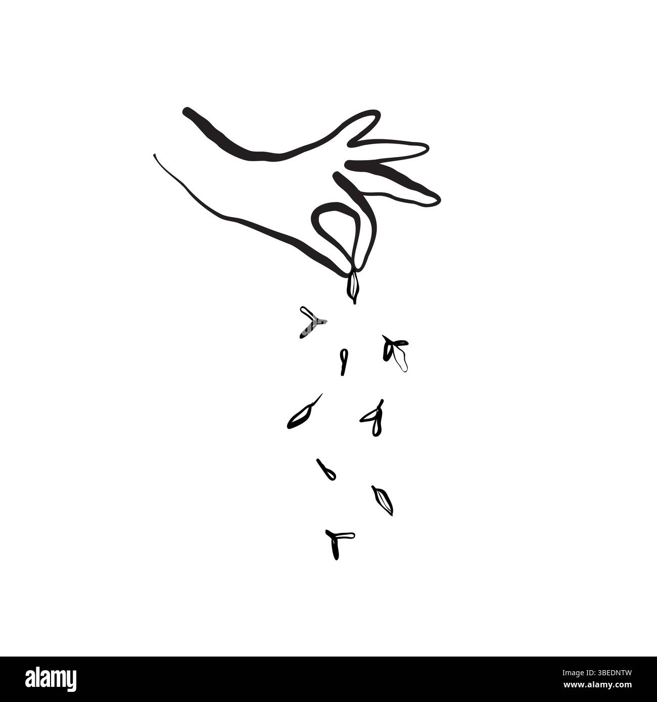 Spolverare a mano timo o spezie secche in uno stile minimalista per la progettazione culinaria o di imballaggio Illustrazione Vettoriale