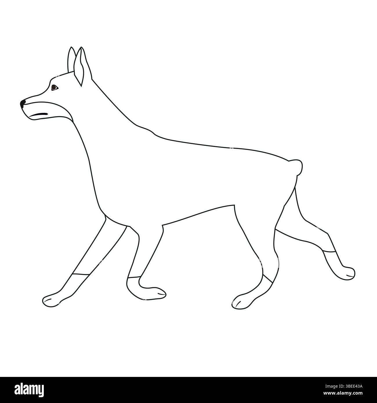 Profilo piatto vettoriale che corre doberman dog Illustrazione Vettoriale