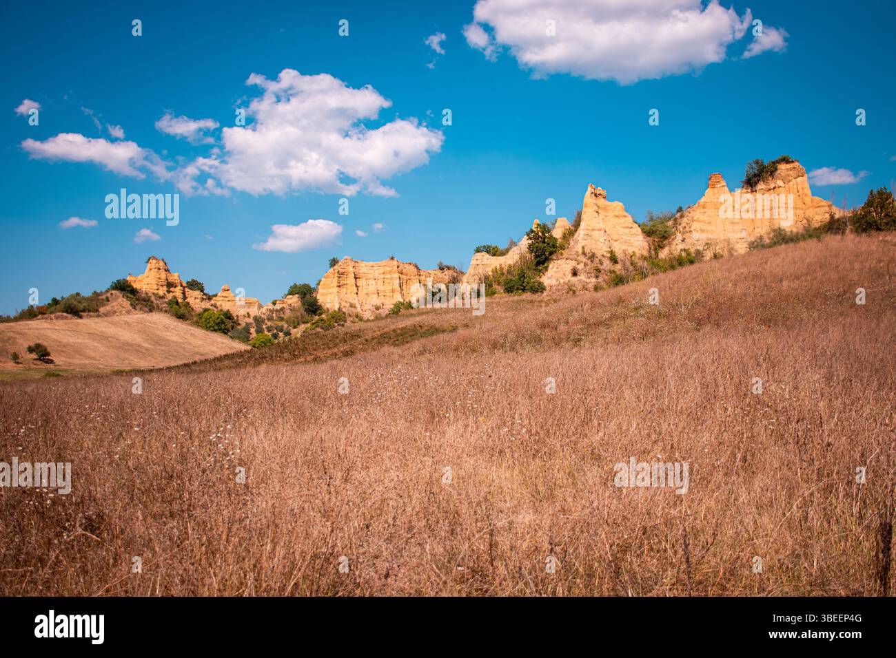 Ampi campi toscani aperti sotto la luce soffusa del sole, dolci colline e colori terrosi dipingono una tranquilla scena della bellezza e della calma naturale dell'Italia rurale. Foto Stock