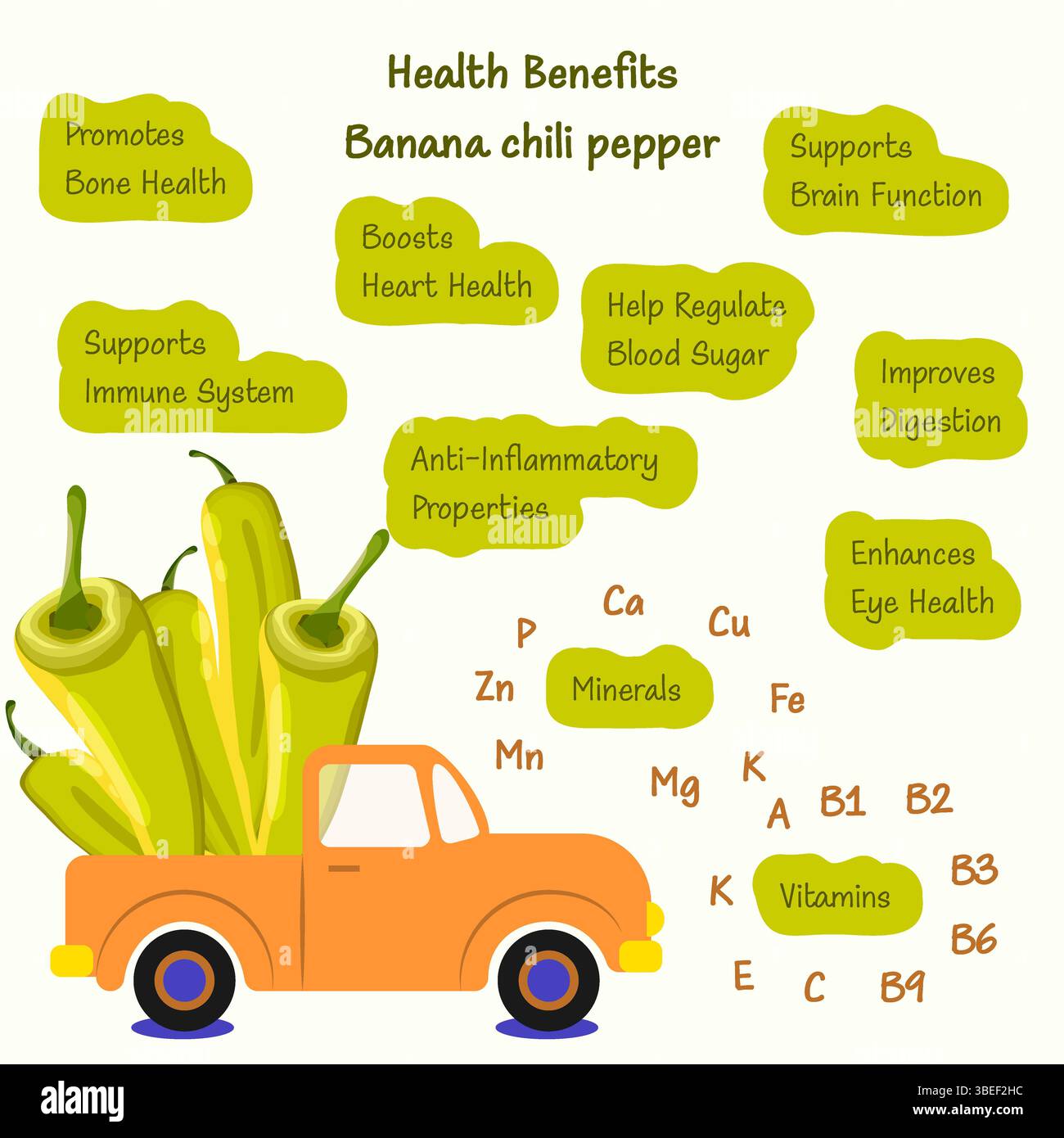 Benefici per la salute e nutrienti di peperoncino di banana o peperoni di cera gialla. Dumper da raccolta carico di peperoni. Illustrazione vettoriale isolata. Illustrazione Vettoriale