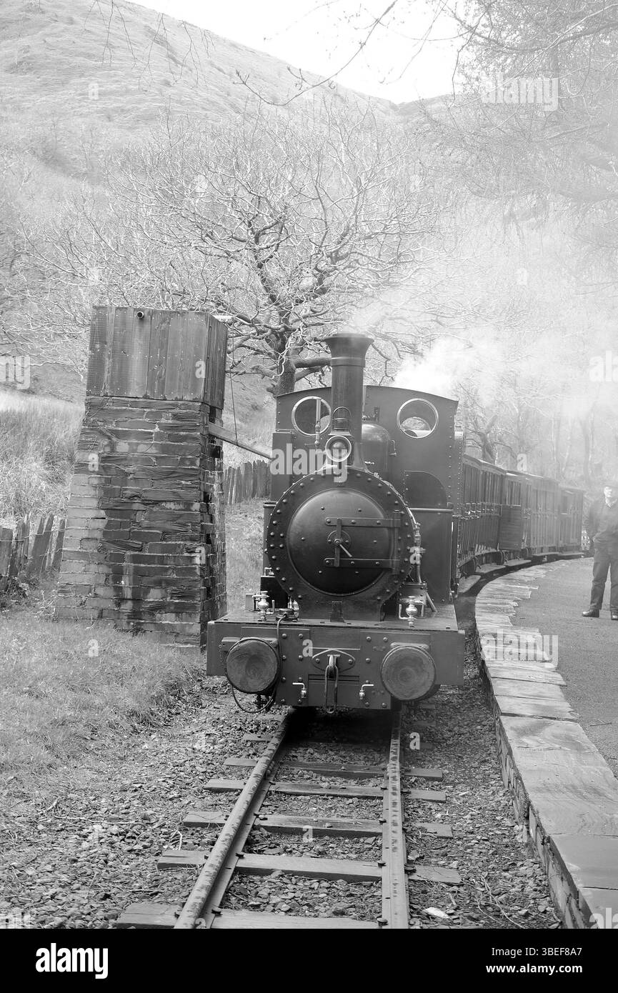 'Dolgoch' e 'Talyllyn' si dirigono due volte alla stazione di Dolgoch Falls. Foto Stock