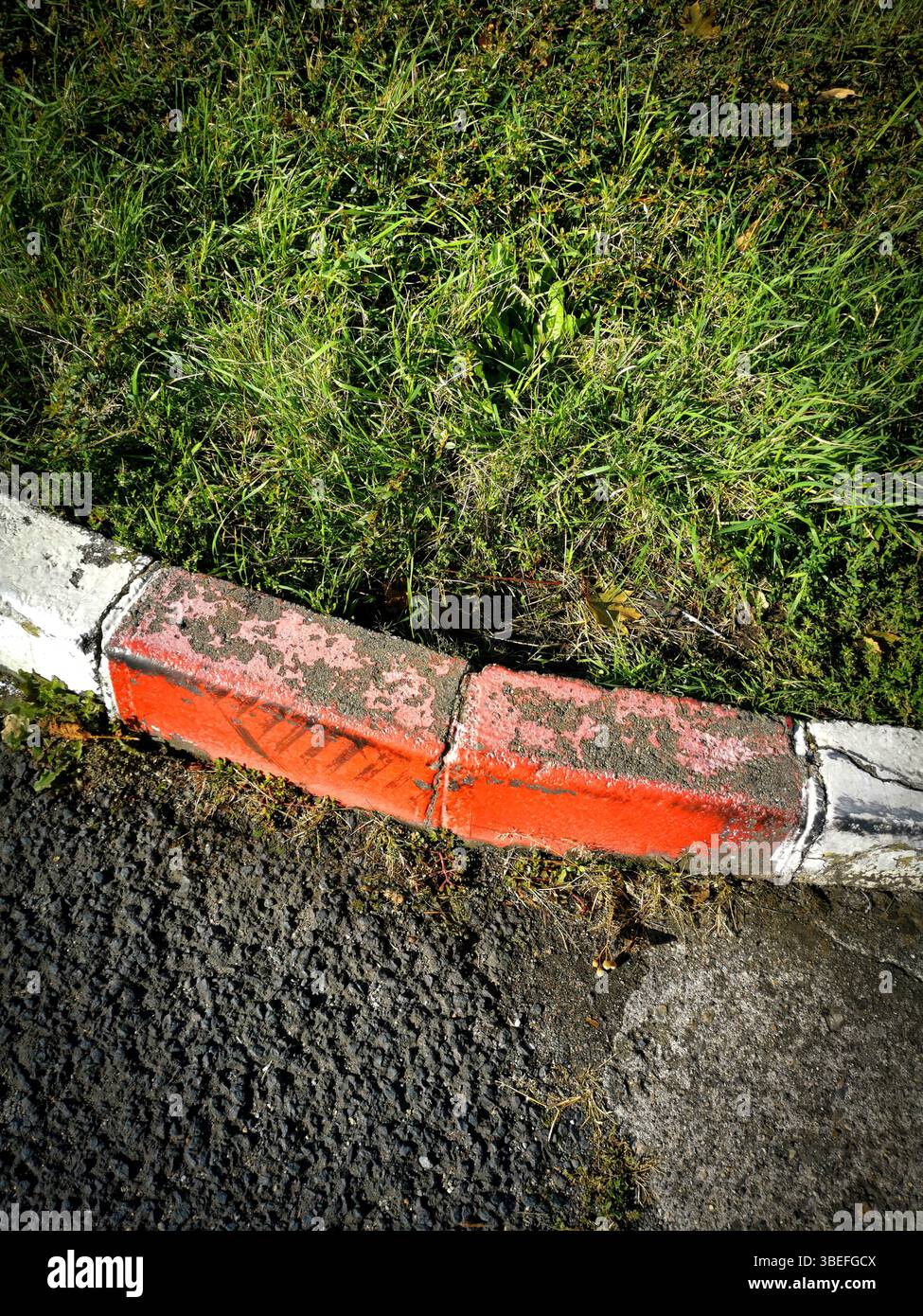 Un marciapiede con macchie di vernice arancione sbiadita incontra una vivace macchia d'erba, mescolando elementi urbani con la crescita naturale in un ambiente urbano. Foto Stock