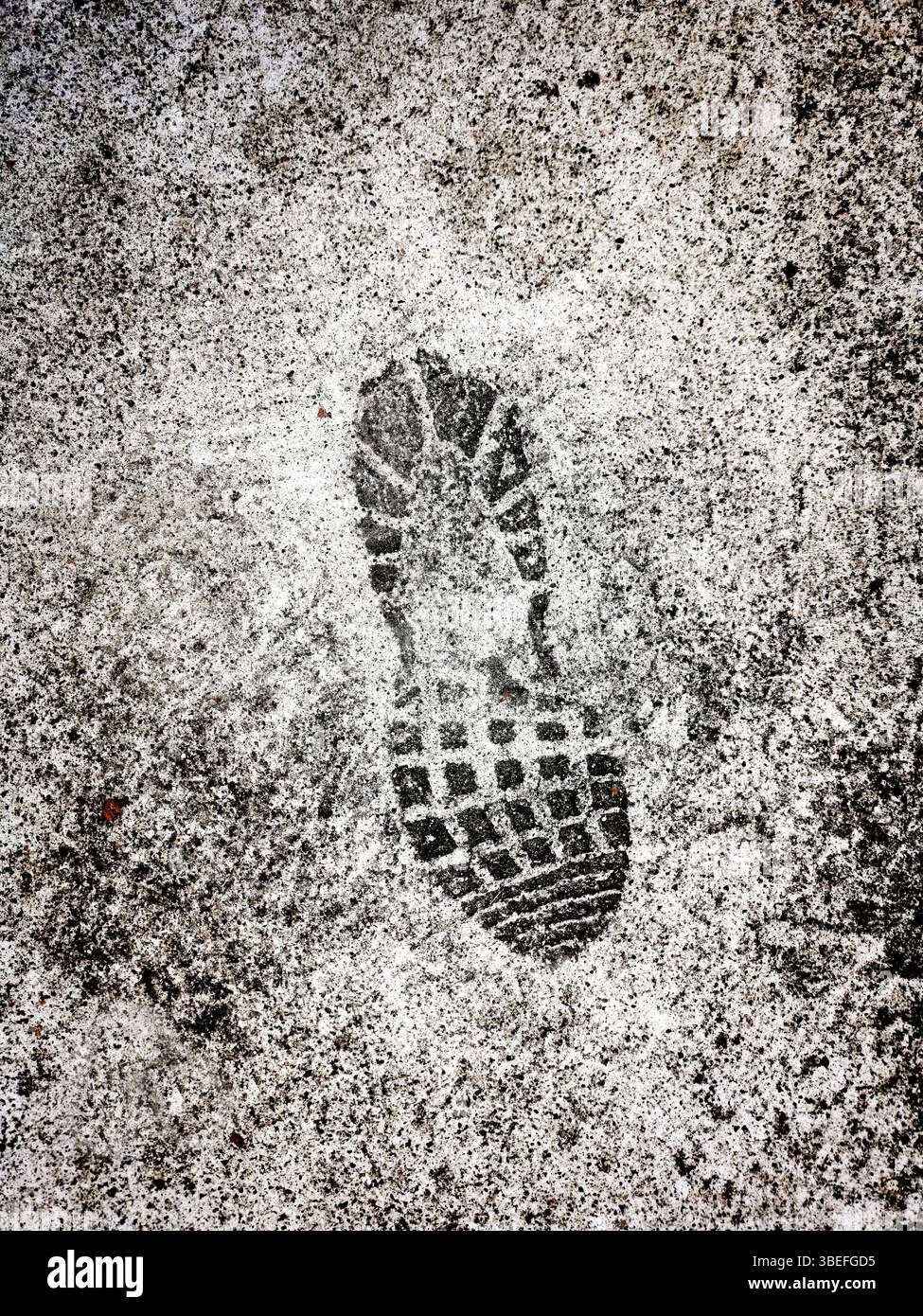 Su una superficie bagnata è presente una distinta stampa delle scarpe che mostra i dettagli del battistrada. Foto Stock