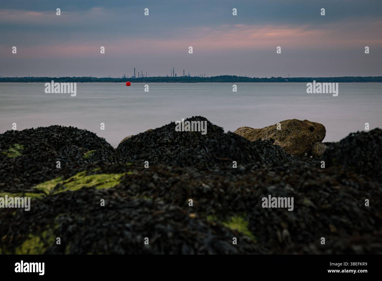 Lunga esposizione attraverso il Solent dall'isola di Wight, con rocce ricoperte di alghe e vista distante della raffineria di Fawley al crepuscolo. Foto Stock