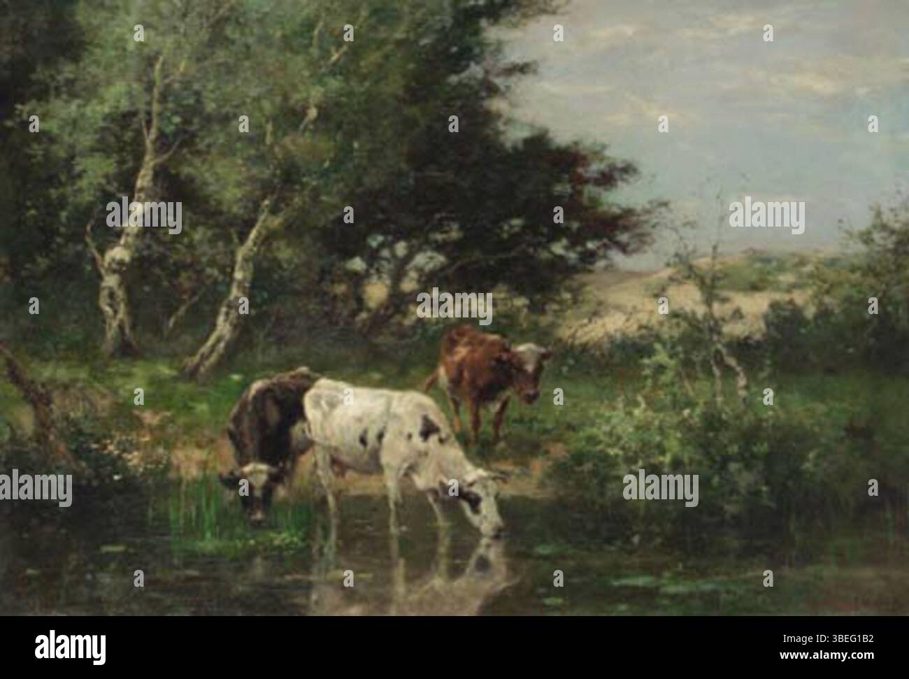 Johan Scherrewitz (1868-1951) dipinse mucche bevendo da uno stagno nelle dune, catturando l'atmosfera serena della campagna olandese con un'enfasi sull'ambiente naturale. Foto Stock