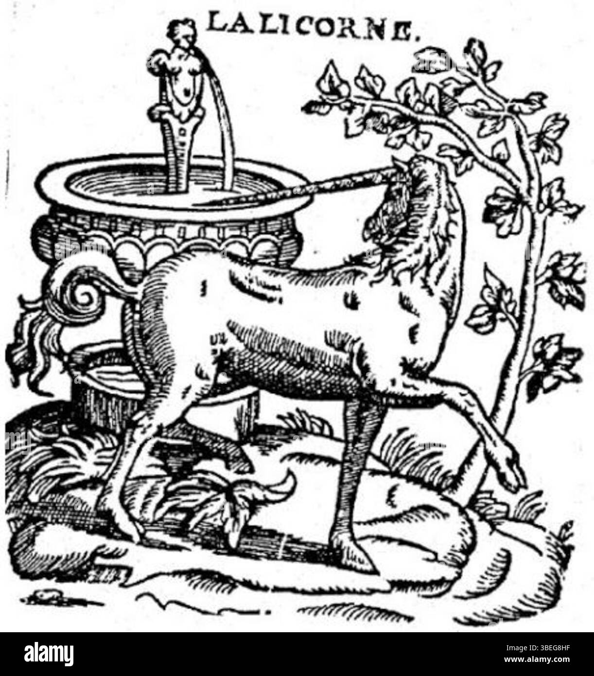 L'incisione di Philippe Pelletier del 1580 circa, parte della sua serie "Les Quadrupèdes", presenta l'unicorno, che continua il fascino per le creature mitiche nel periodo rinascimentale. Foto Stock
