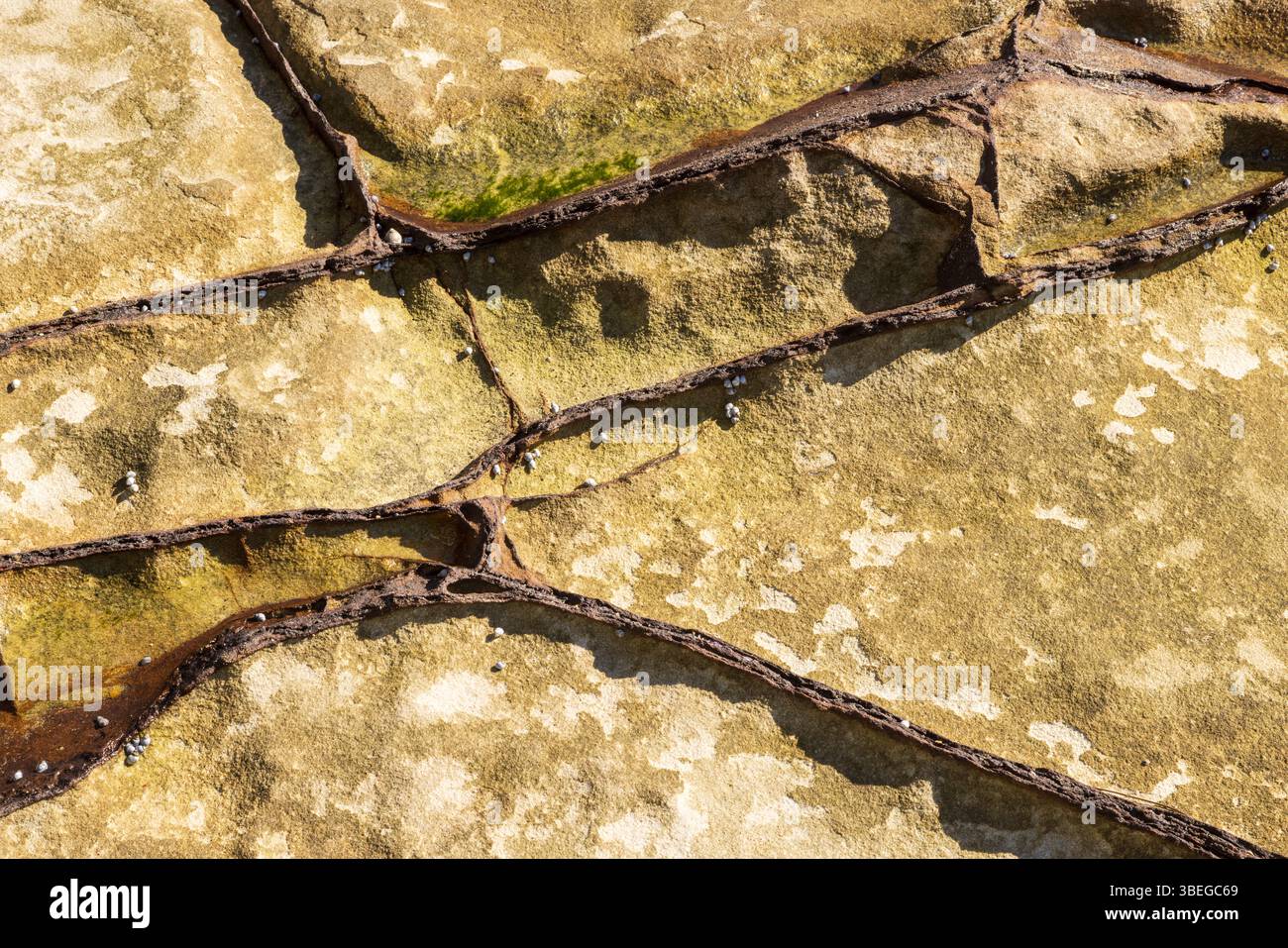 Bande di ossido di ferro che formano modelli astratti nella roccia arenaria intemprata. Bundeena, Australia Foto Stock