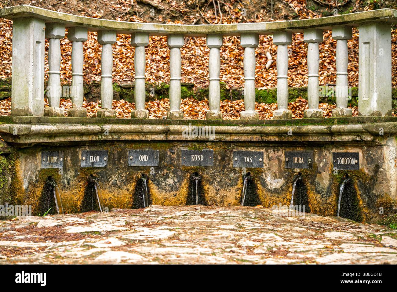 Le sette sorgenti (Hétforrás) sono un popolare sito naturale nei monti Kőszeg, vicino al confine austriaco. Fondata nel 1896, dispone di sette Foto Stock