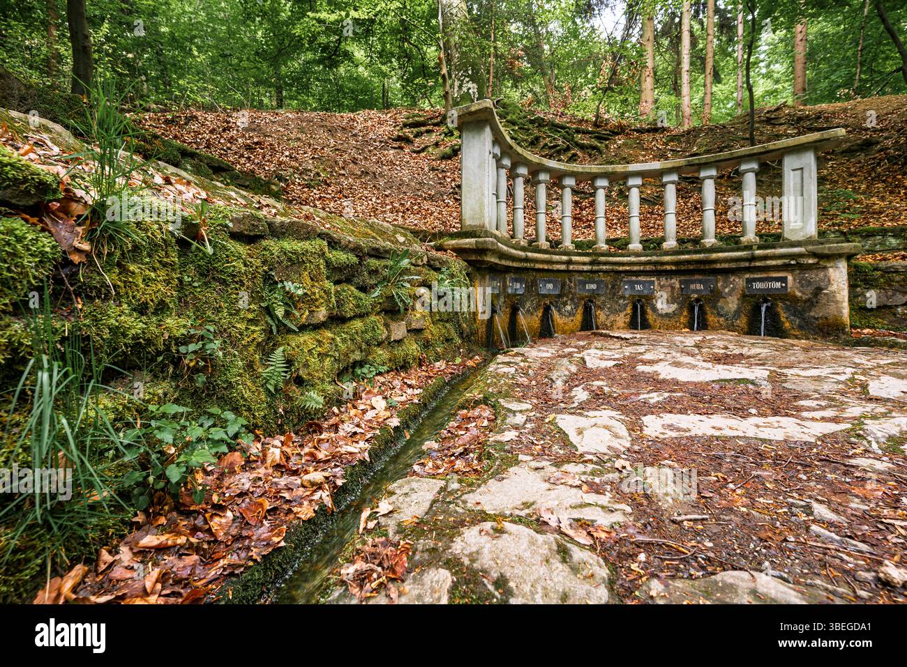 Le sette sorgenti (Hétforrás) sono un popolare sito naturale nei monti Kőszeg, vicino al confine austriaco. Fondata nel 1896, dispone di sette Foto Stock