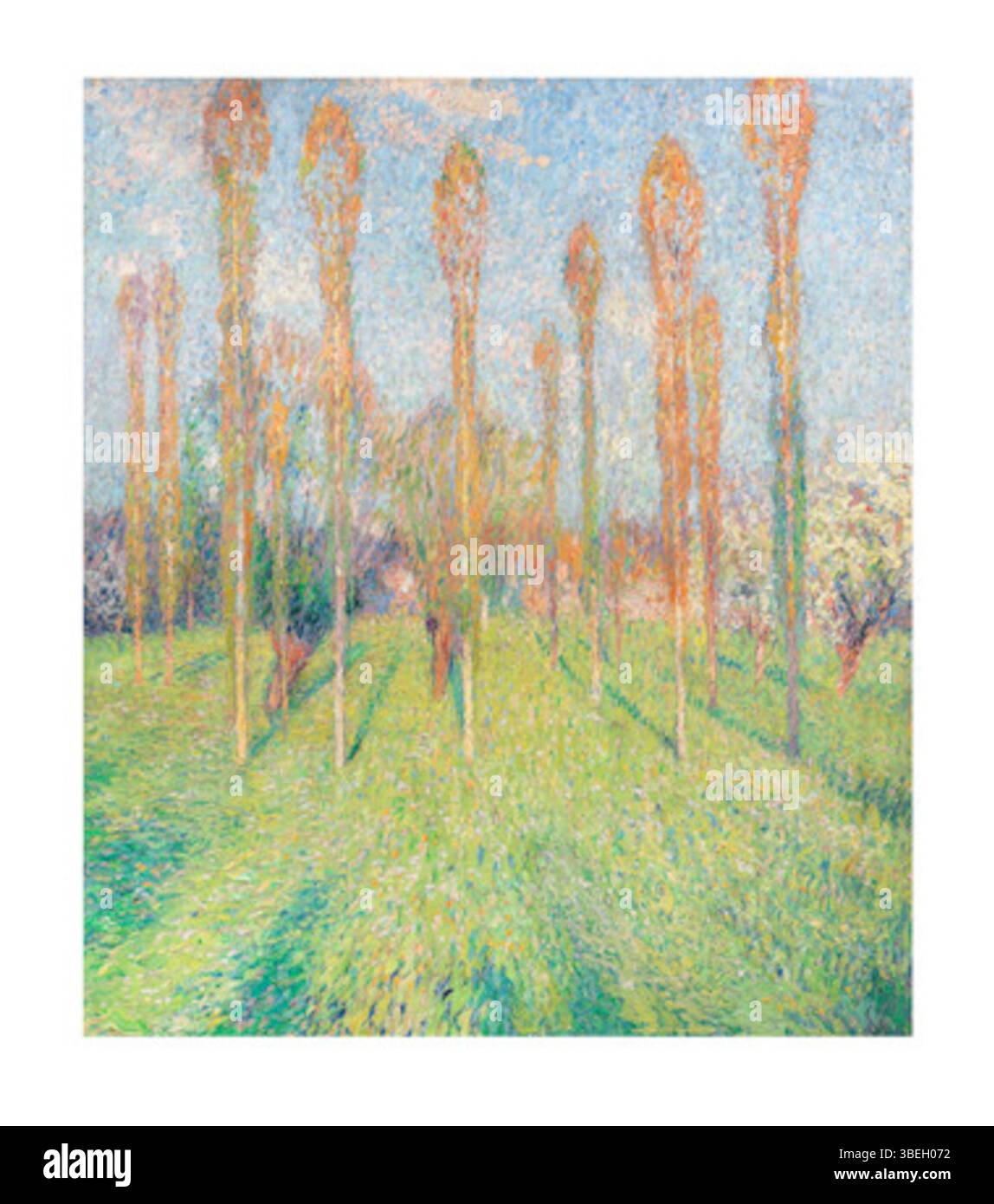 "Campo soleggiato con pioppi" di Henri-Jean Guillaume Martin, dipinto intorno al 1916. L'opera raffigura un tranquillo paesaggio rurale con alti pioppi sotto la luce del sole. Foto Stock