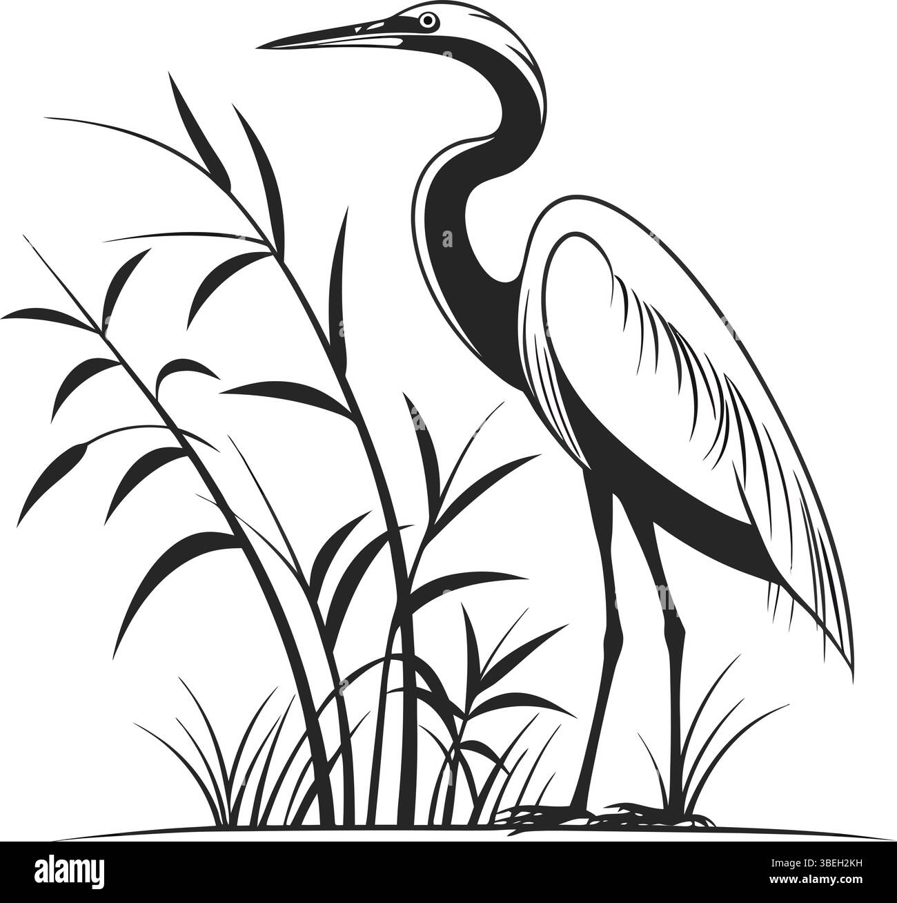 Elegant Heron: Un'illustrazione in bianco e nero di un airone sereno in piedi tra erba alta, che evoca un senso di pace e tranquillità. Illustrazione Vettoriale